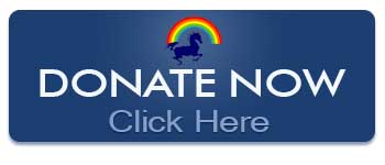 SaltSpring Therapeutic Riding Association - Donate Now Through CanadaHelps!