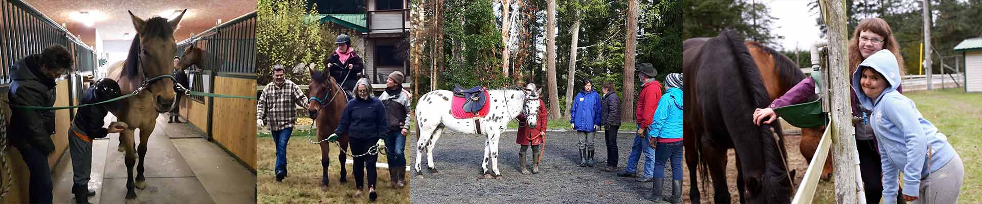 salt spring island riding,therapeutic riding,sstra,salt spring island horse,salt spring island horseback,salt spring island horse back,salt spring island equestrian