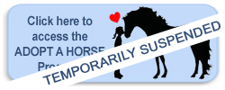 Adopt a pony access