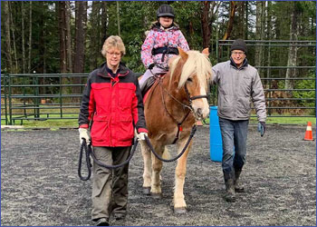 We want you to volunteer at the Salt Spring Therapeutic Riding Association