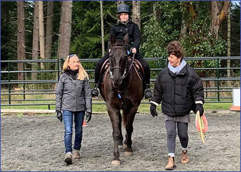 We want you to volunteer at the Salt Spring Therapeutic Riding Association