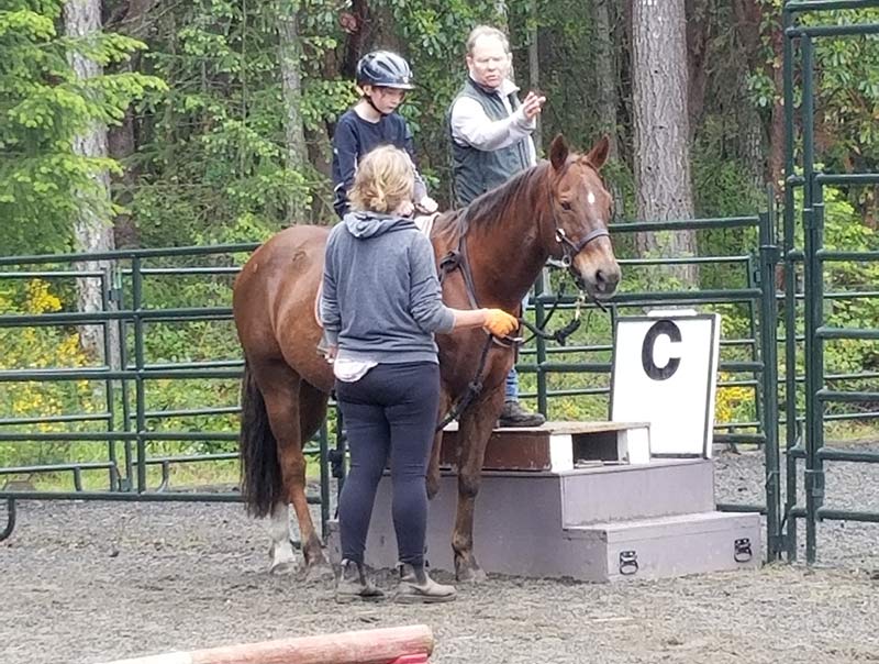 We want you to volunteer at the Salt Spring Therapeutic Riding Association