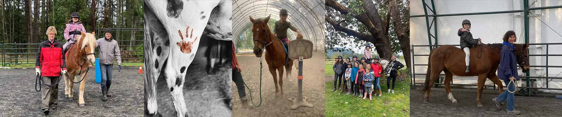 saltspring,salt spring island,salt spring riding,salt spring island therapeutic,salt spring island riding,therapeutic riding,sstra,salt spring island horse,salt spring island horseback,salt spring island horse back,salt spring island equestrian